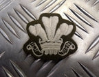 Genuine British No2 Army ICH DIEN Prince of Wales 3 Feathers Patch Badge Used