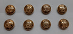 Royal Artillery Regimental Mounted Dress Button Set X8 British Army Insignia