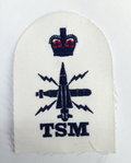 Royal Navy Submarine Tactical TSM Petty Officer Blue / White Qualification Patch