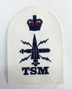 Royal Navy Submarine Tactical TSM Petty Officer Blue / White Qualification Patch