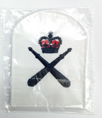 Royal Navy Physical Trainer Petty Officer Blue & White Qualification Patch