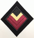 4th/7th Royal Dragoon Guards Regimental TRF Flash British Army Patch