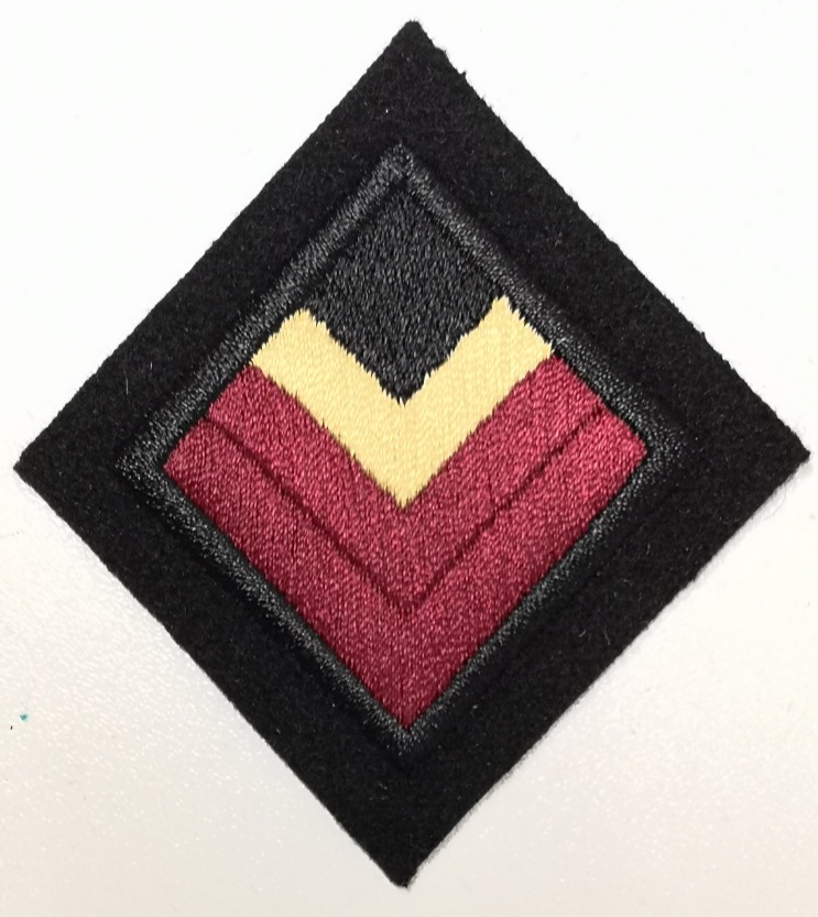 4th/7th Royal Dragoon Guards Regimental TRF Flash British Army Patch