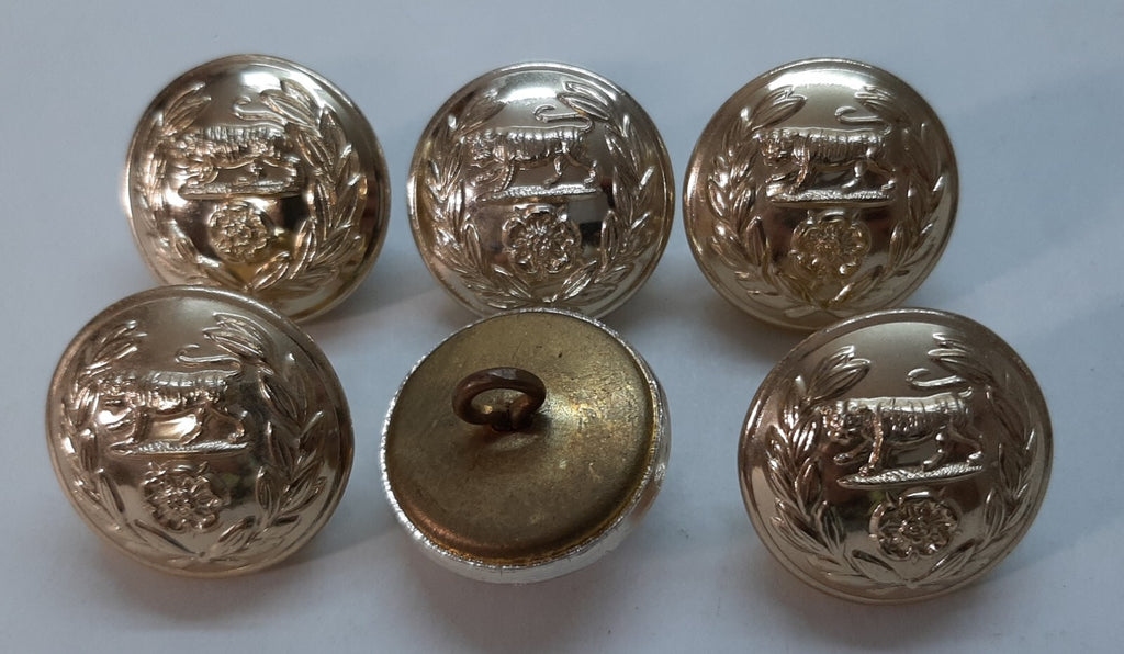 Royal Hampshire Buttons British Army Regimental Insignia Staybrite Size 40L X6