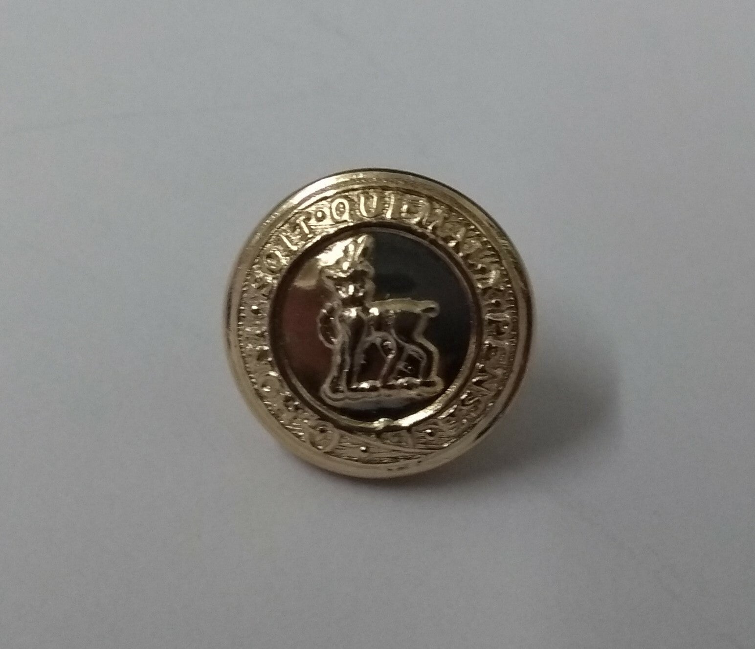 Genuine British Army Issue The Royal Regiment of Fusiliers Dress Cap Buttons 22L