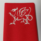 Welsh Cymru Red Dragon Slides - NEW