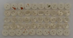 100 Vintage Buttons 2 Hole Shirt / Shank Anchors Pearlesque Cream 8.9mm NOS