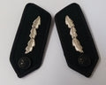 Green Gorgets Collar Tabs With Silver Leaf Insignia Plain Buttons & Clip Backs