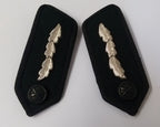 Green Gorgets Collar Tabs With Silver Leaf Insignia Plain Buttons & Clip Backs