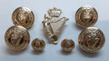 UDR Army Buttons & Badge British Ulster Defence Regiment Queens Crown Insignia
