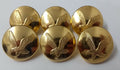 Genuine British Army Issue AAC The Army Air Corps Dress Buttons 40L NEW