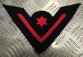 Genuine Vintage NAVY Issue Naval Petty Officer Apprentice Sew on Patch