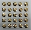 Worcestershire & Sherwood Foresters British Army Buttons 22L or 30L Buttons X25