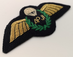 APJI Assistant Parachute Jump Instructor Mess Kit Embroidered Wire Braided Patch