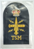 Royal Navy Tactical Submarine TSM Wire Braided Black & Gold Qualification Patch