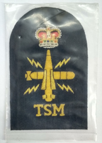 Royal Navy Tactical Submarine TSM Wire Braided Black & Gold Qualification Patch