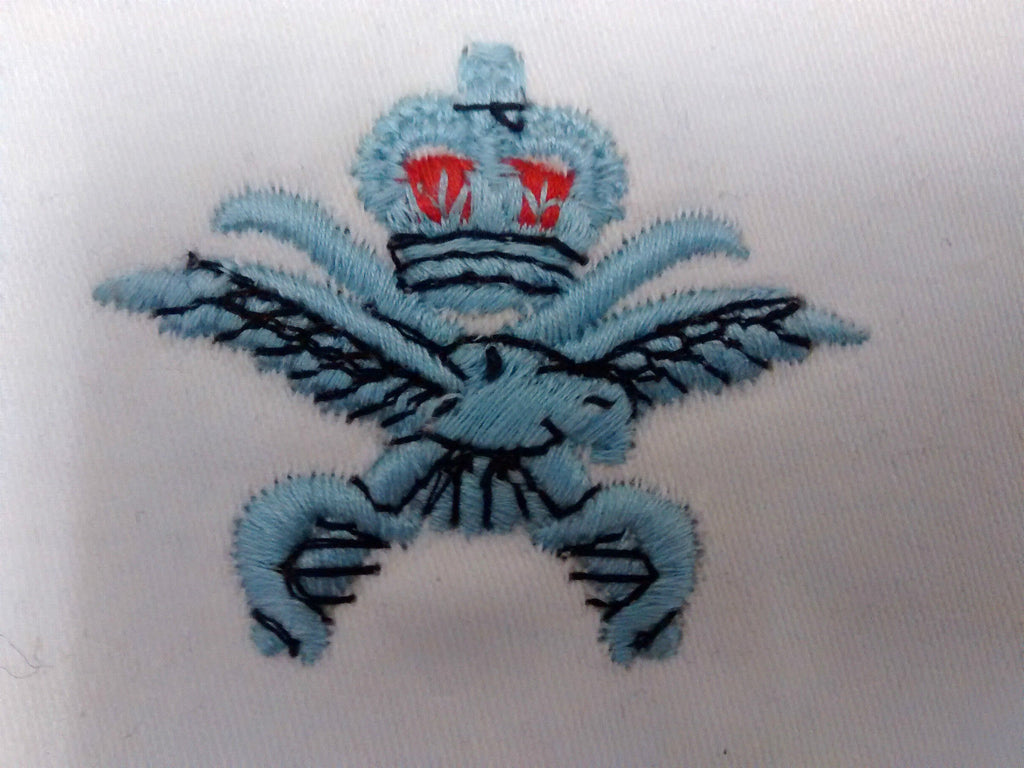 PTI Badge Embroidered RAF Royal Air Force Physical Training Instructor