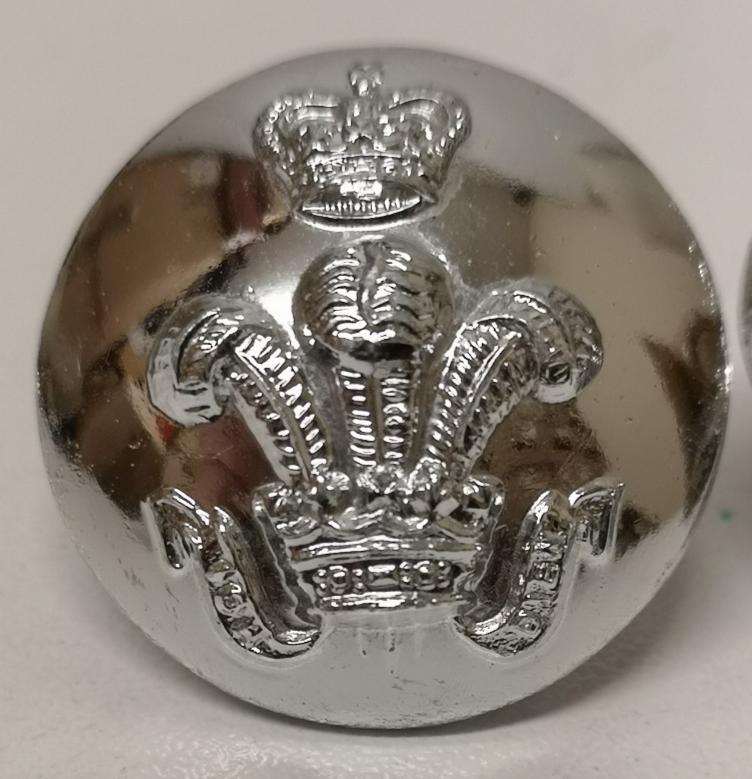 Royal Wiltshire Yeomanry Queen's Crown Silver Colour Buttons 40L British Army x5
