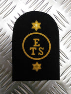 Royal Navy Embroidered Assorted Branch Qualification RN Badge / Patch
