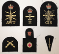 Royal Navy Qualification Cloth Patches Gold/Red on Black set of 7