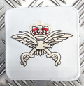 PTI Badge Embroidered RAF Royal Air Force Physical Training Instructor