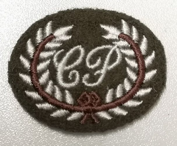 Basic Close Protection Course Qualification Oval Patch British Army