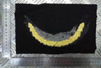 Officers Gold Mylar Oakleaf Braid Uncut Cap Peak Gold on Black Cloth