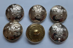 RRW Insignia Buttons British Army Ich Dien Royal Regiment of Wales 40L