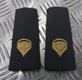 Genuine U.S Specialist Rank Slides / Shoulder Epaulettes Long- RAFB16