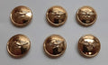 Generic Bird Buttons x 6 Size 30L Soaring Bird of Prey NEW