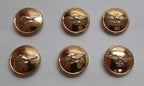 Generic Bird Buttons x 6 Size 30L Soaring Bird of Prey NEW