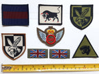 British Army Insignia Badges Assorted QADI 16th Air 11 Light Brigade etc X8