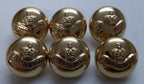 Princess Irene Fusiliers Guards Regiment Crown Insignia High Sheen Buttons NOS
