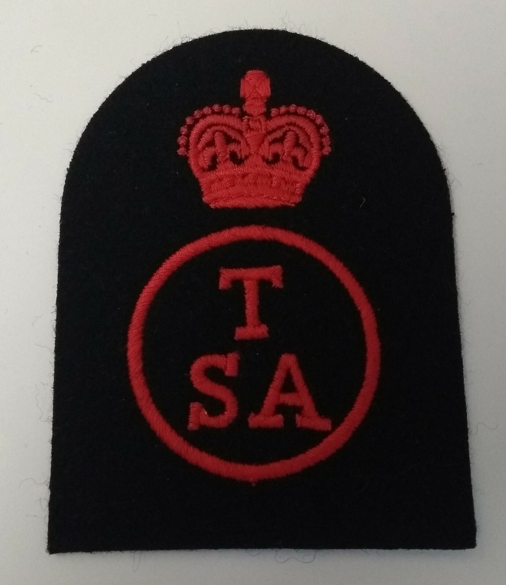 RN Training Support Assistant Vintage Embroidered Patch / Badge New Old Stock
