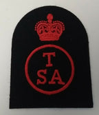 RN Training Support Assistant Vintage Embroidered Patch / Badge New Old Stock