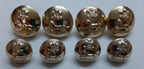 No2 Dress Button Set Officer Rank Prince of Wales Own Regiment of Yorkshire