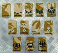 Genuine British Army Desert Camo Yorkshire Rank Slide Various Ranks - NEW