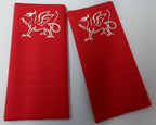 Welsh Cymru Red Dragon Slides - NEW