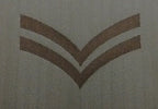 Rank Badges Army Green / Desert OD / DS Subdued Assorted Ranks 1 Pair New