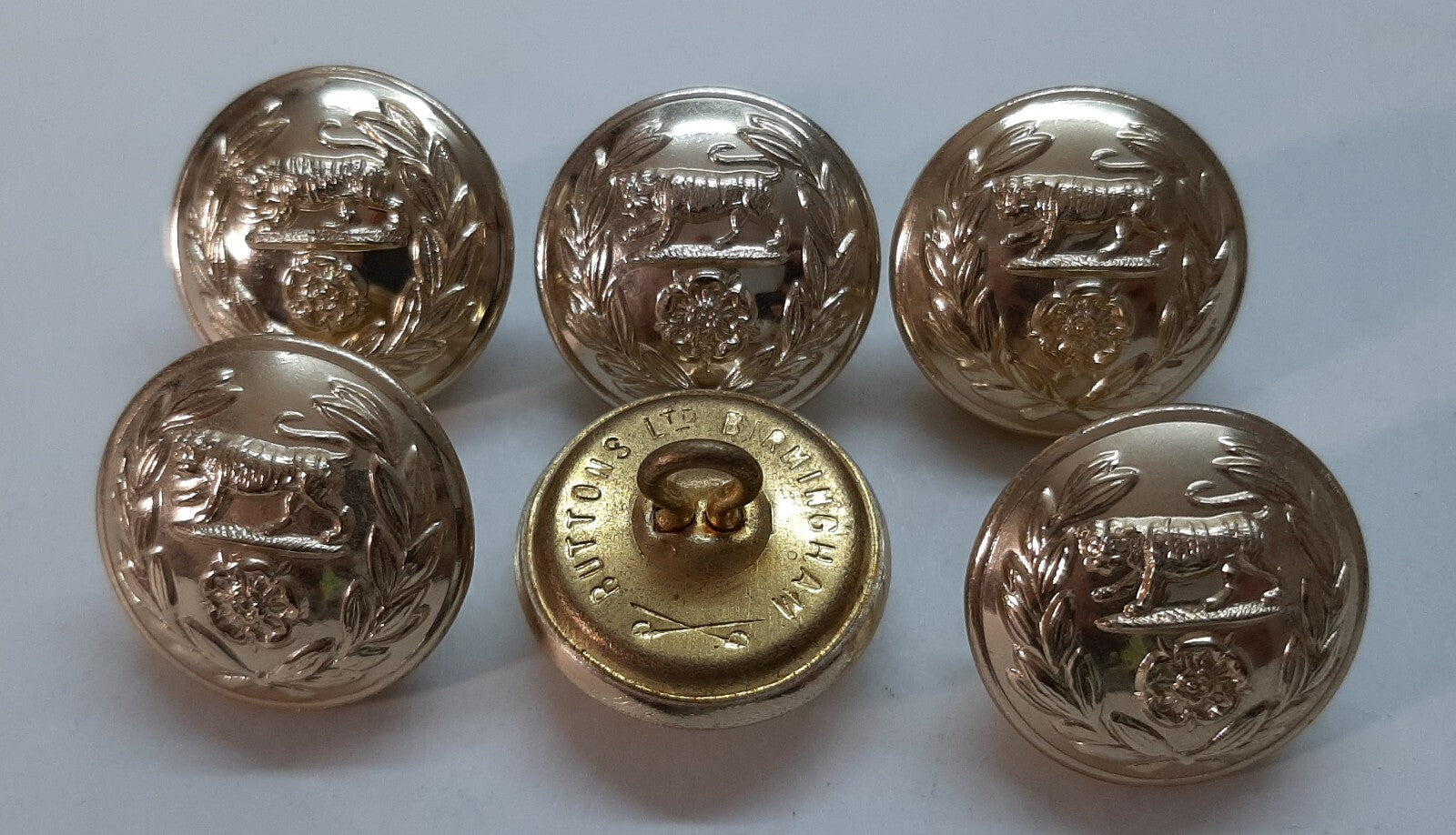 Royal Hampshire Buttons British Army Regimental Insignia Staybrite Size 40L X6