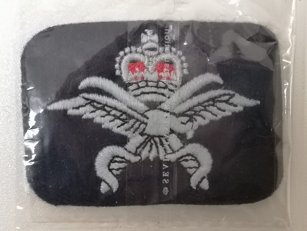 Physical Training Instructor PTI Qualification Badge Royal Air Force RAF