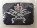 Physical Training Instructor PTI Qualification Badge Royal Air Force RAF