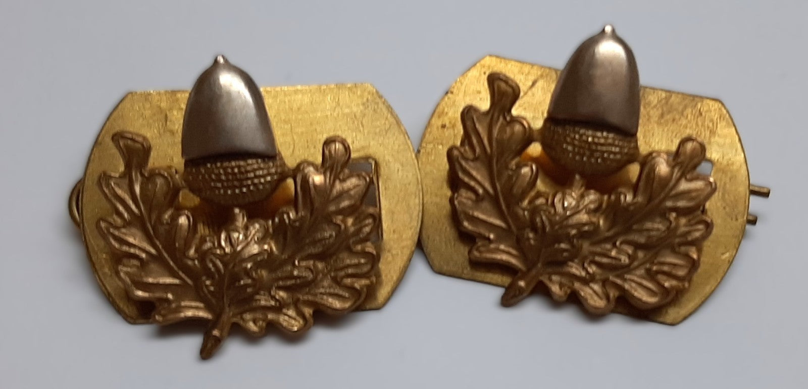Cheshire Regiment Collar Dogs Vintage Old Type No1 No2 Dress Badges Complete