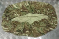 Genuine British MTP Small Rucksack Patrol Pack cover Large Pouch G1