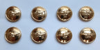 Generic Bird Buttons x 8 Size 30L Soaring Bird of Prey x 8 NEW