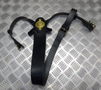 HCav Horse Bridle Strap And Breastplate British Horse Furniture