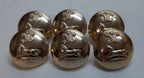 Large Army Buttons Rank Prince of Wales Own Regiment of Yorkshire Insignia X6