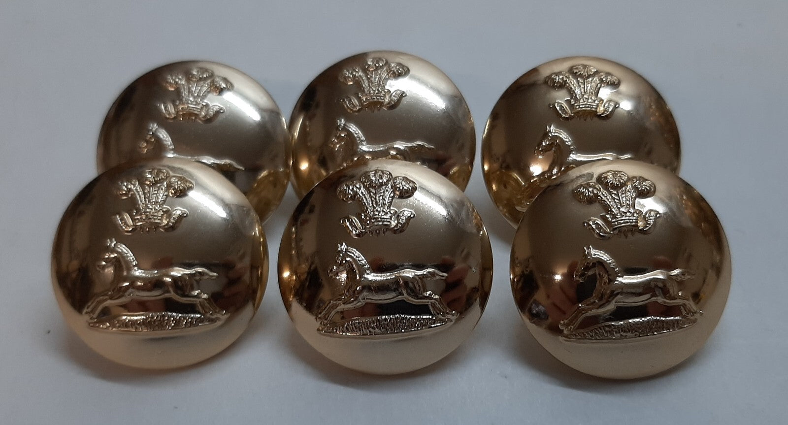 Large Army Buttons Rank Prince of Wales Own Regiment of Yorkshire Insignia X6