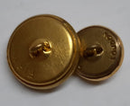 The Life Guards Button Set Ring Back HCav No2 British Army Insignia OFC
