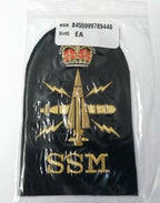 Naval SSM Badge Qualification Specialist Submariner Sensor Petty OFC (PO)